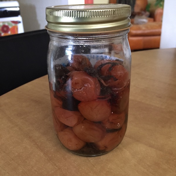 Learn to Make Umeboshi (Japanese Pickled Plums) at Home