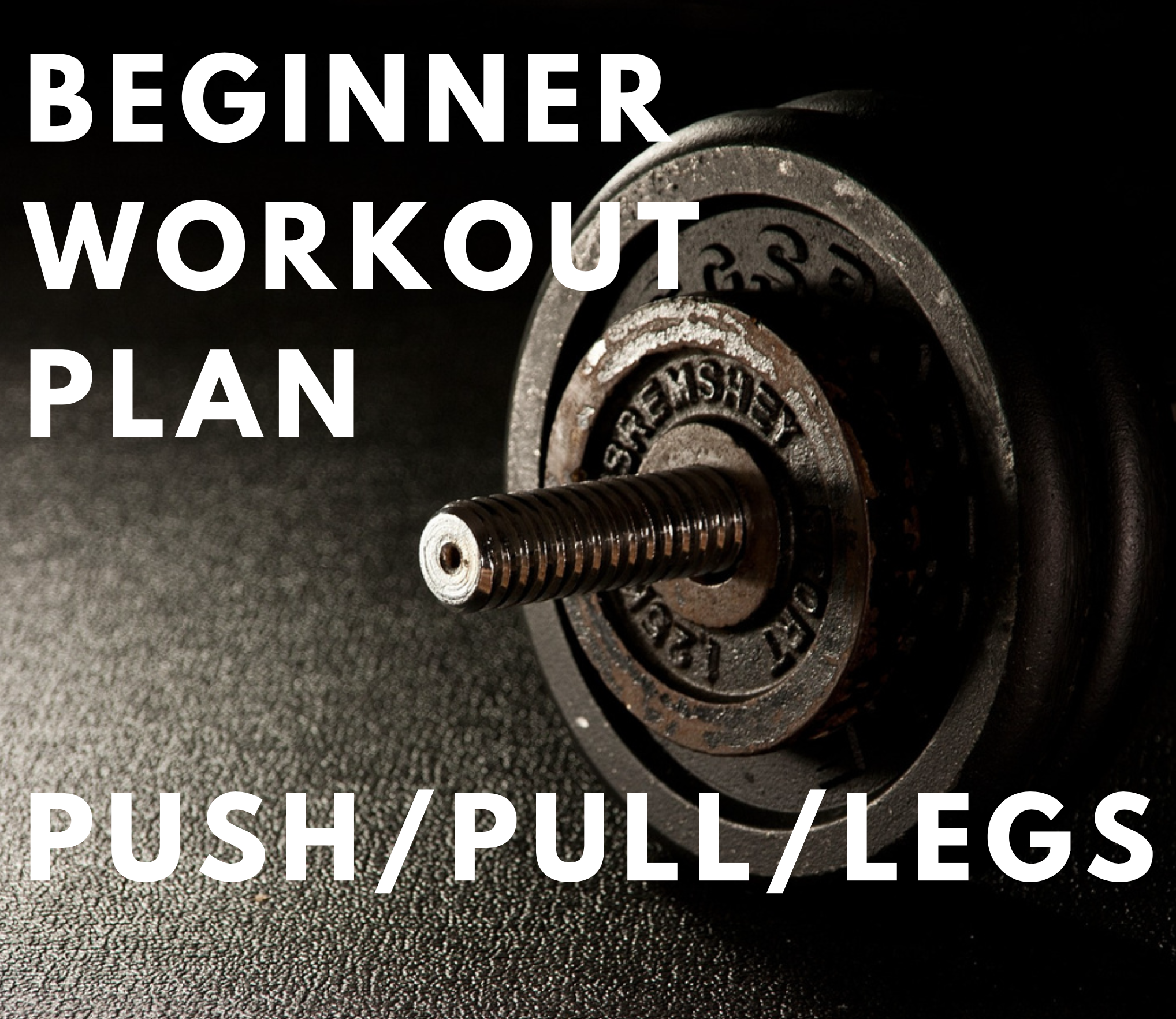 Push pull discount legs for beginners