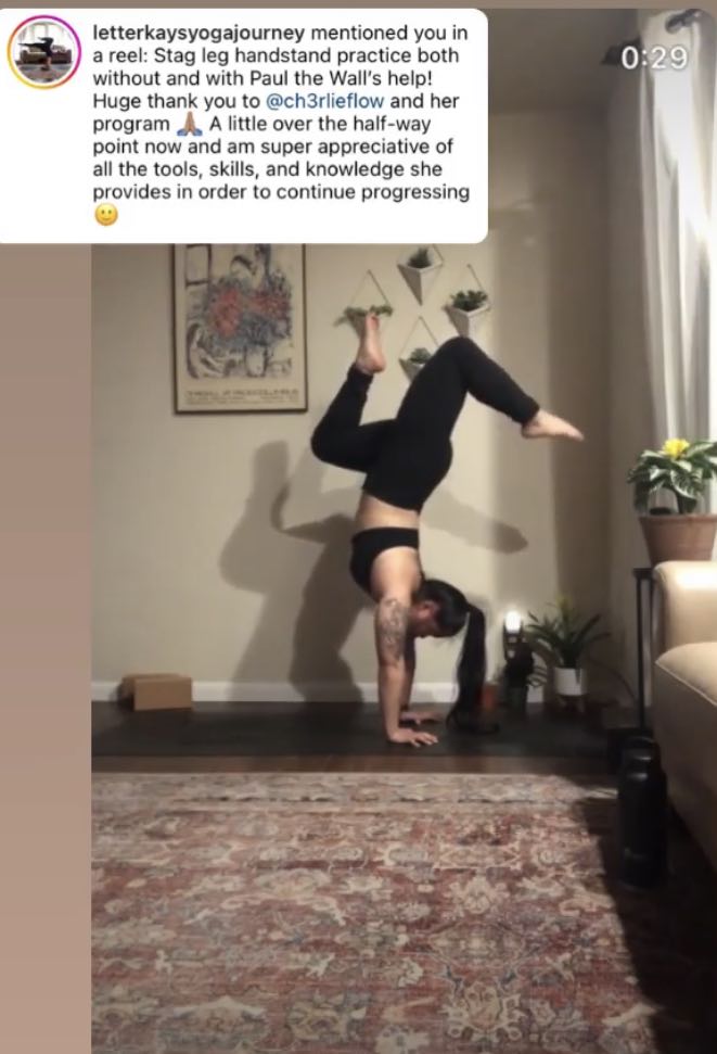 Handstand discount training program