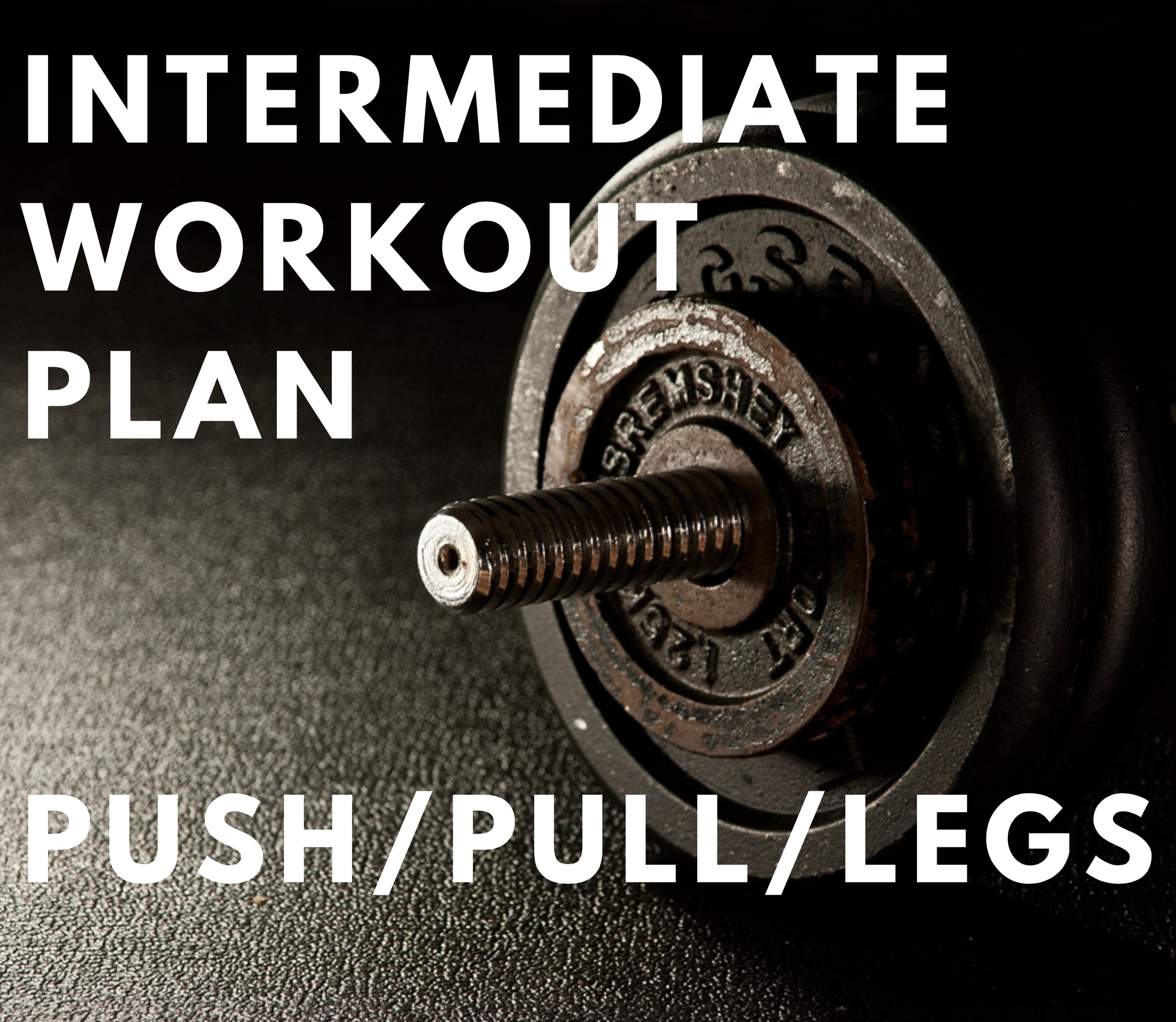 Intermediate Workout Plan Push Pull Legs