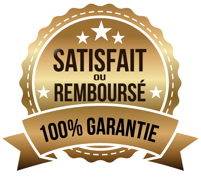 LES SOMMETS DU MLM™ : Les bases de la réussite
