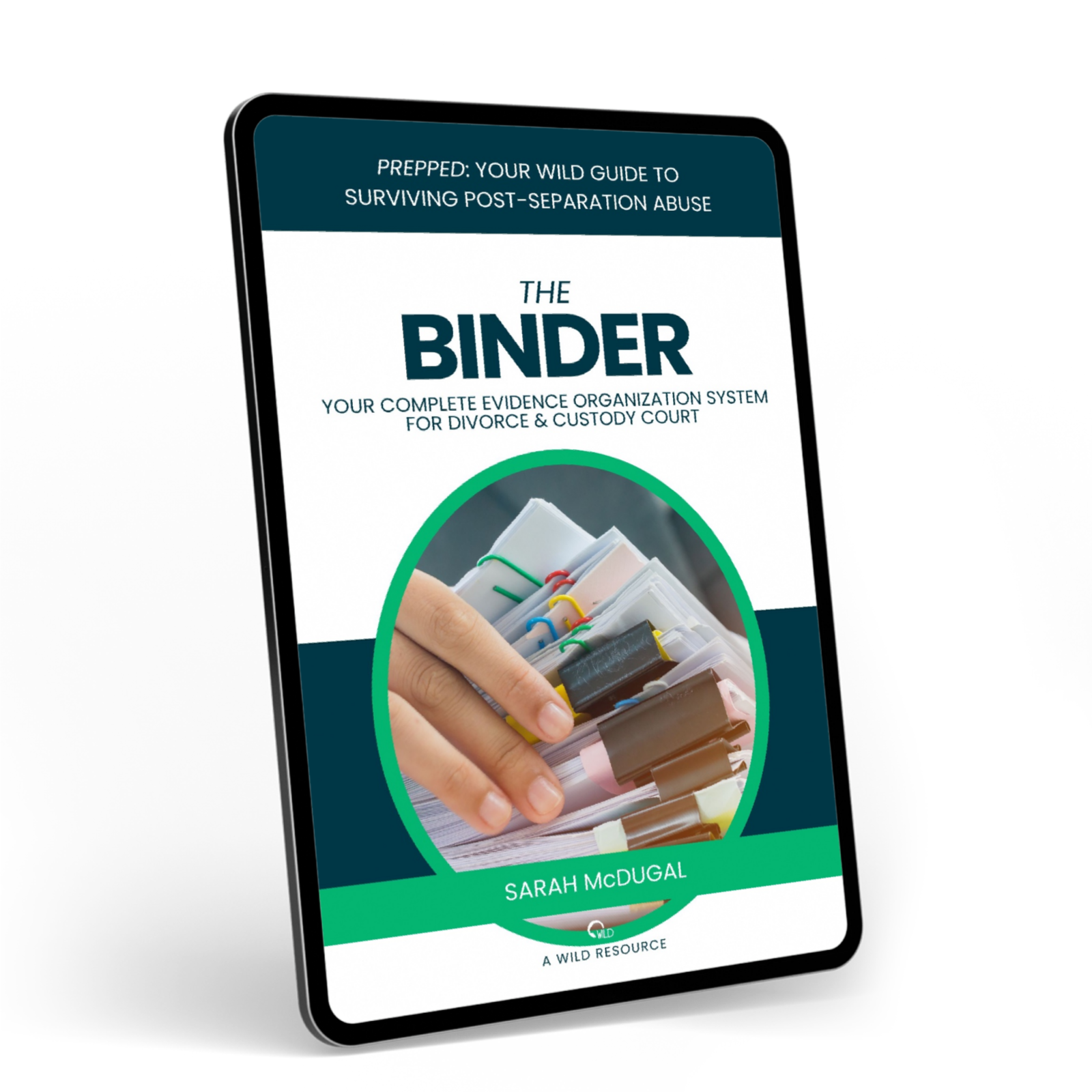 The binder your complete evidence organization system for divorce