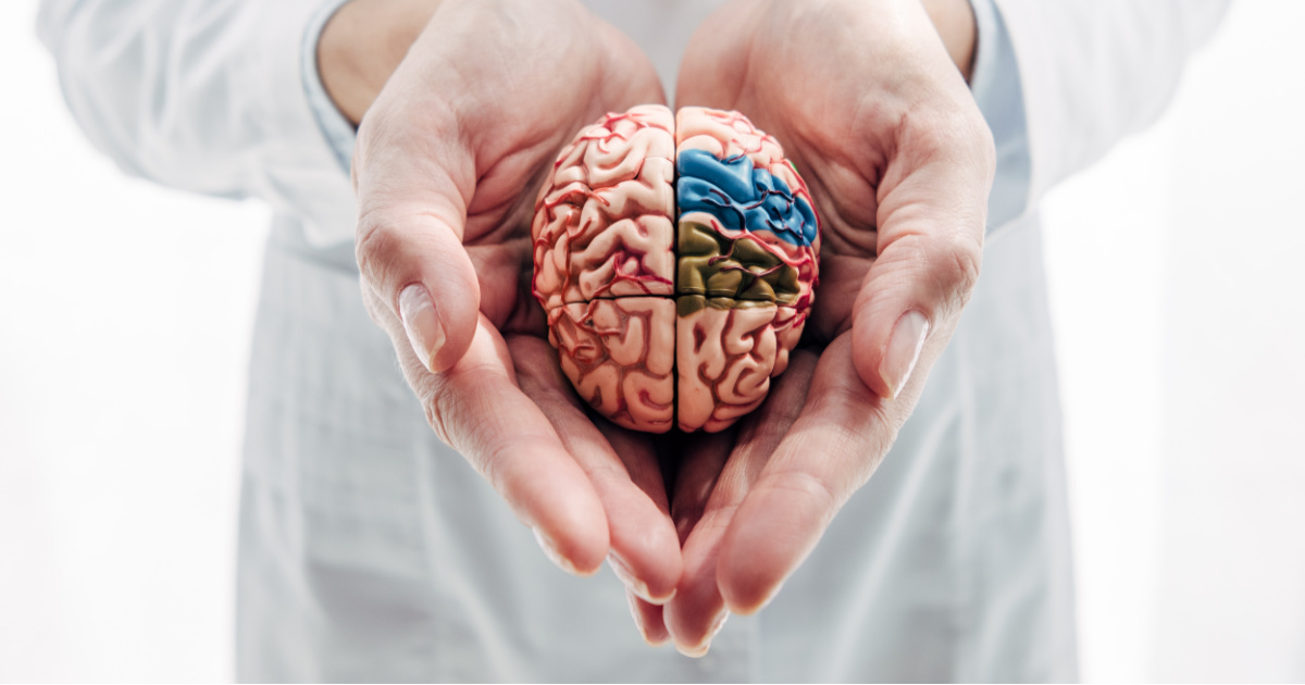 Healthy Happy Brain Program